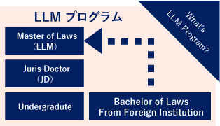 LLMプログラム