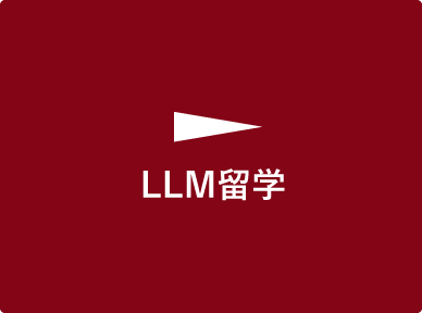 LLM留学